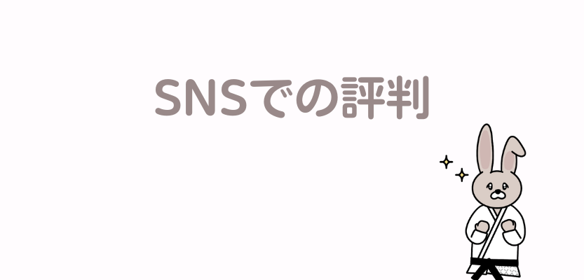 SNSでの評判
